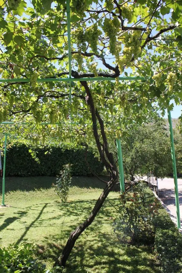 Pansion Pero Elez Medjugorje