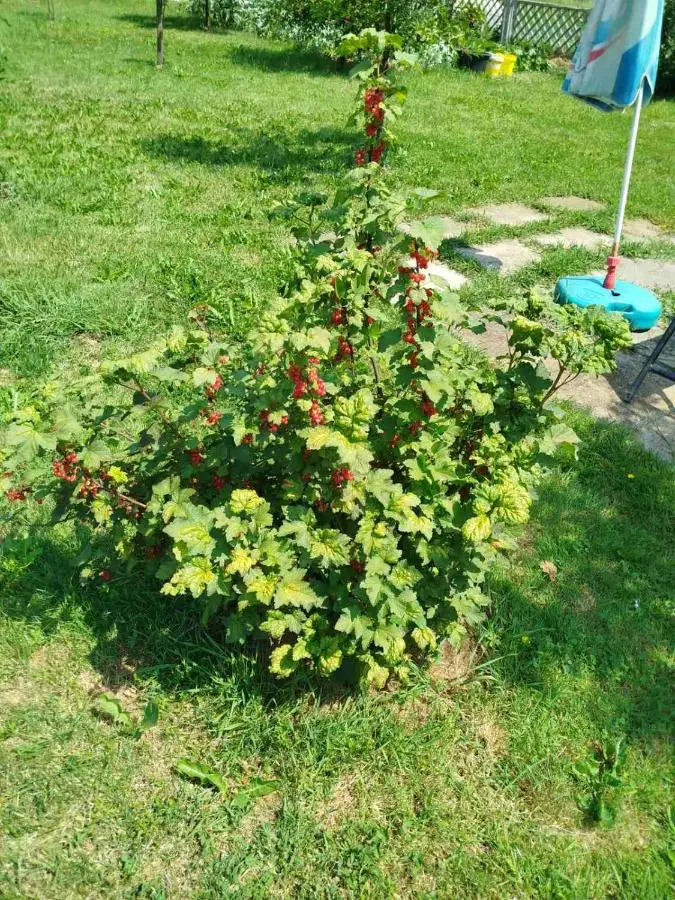 Apartmani LIDER Visoko