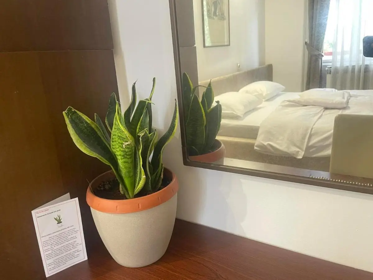 Apartment Romana
