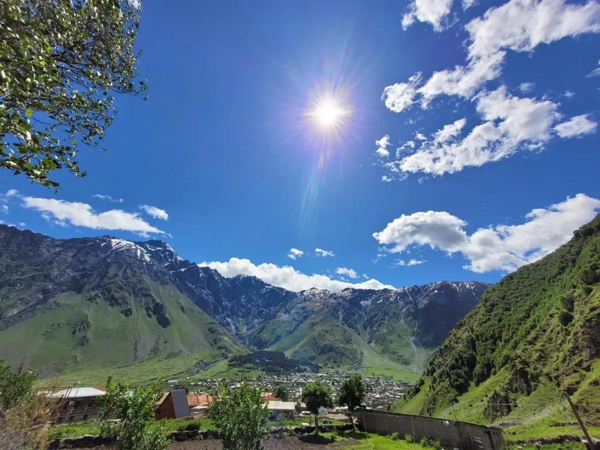 Pine Chalet Kazbegi