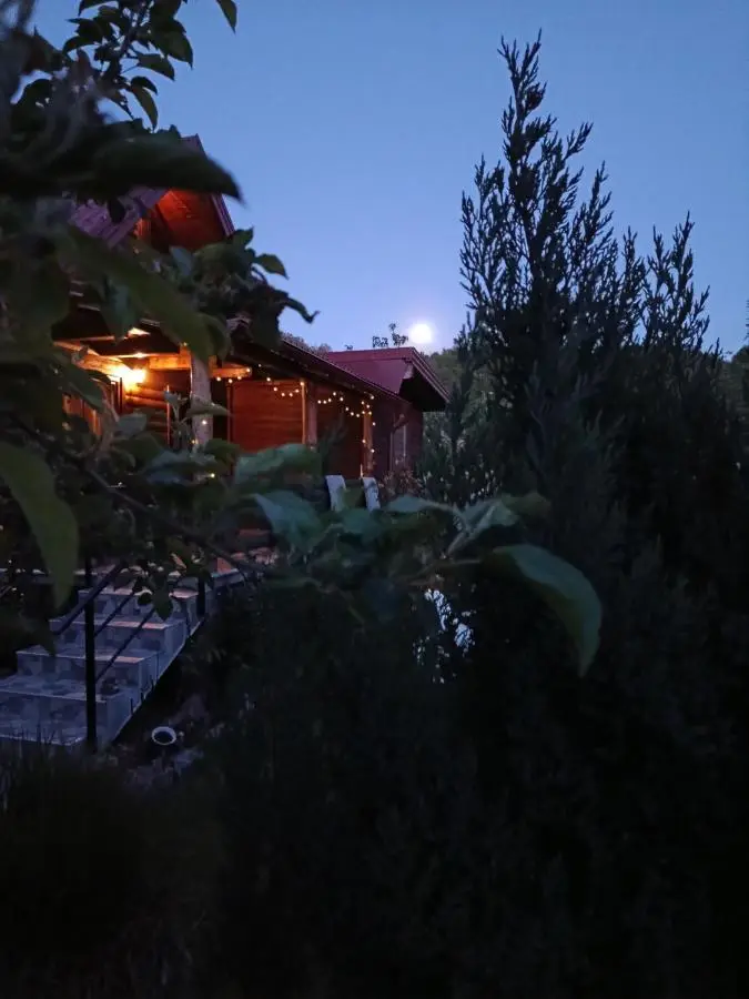 Wooden House "Una"