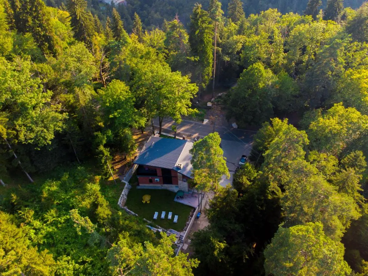 Hotel Evergreen