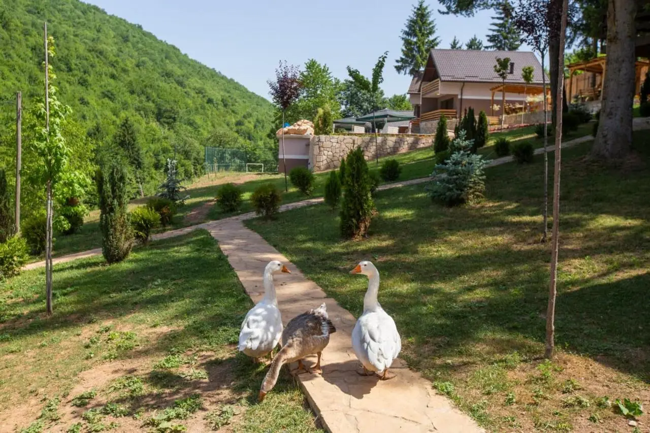 Vikendica Bjelašnica II
