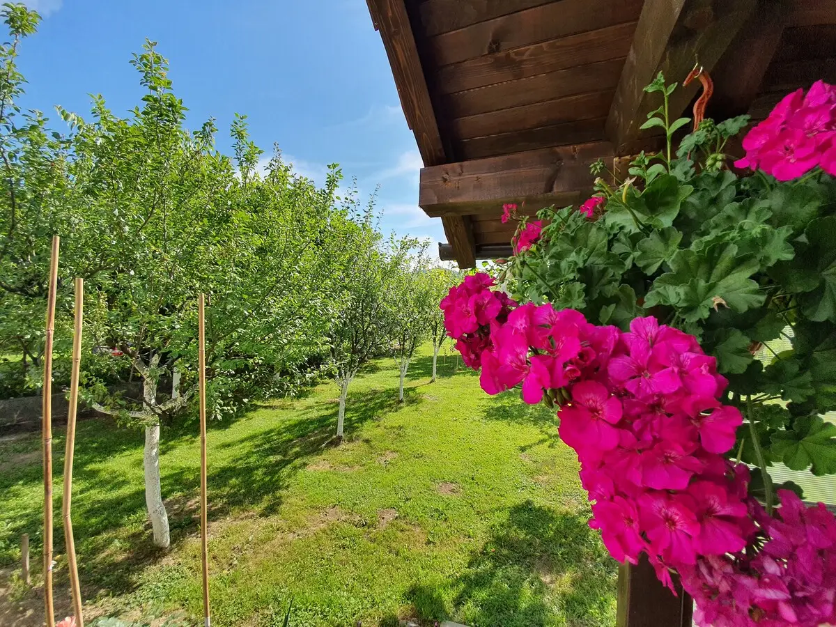 Karabegovic Appartment 1