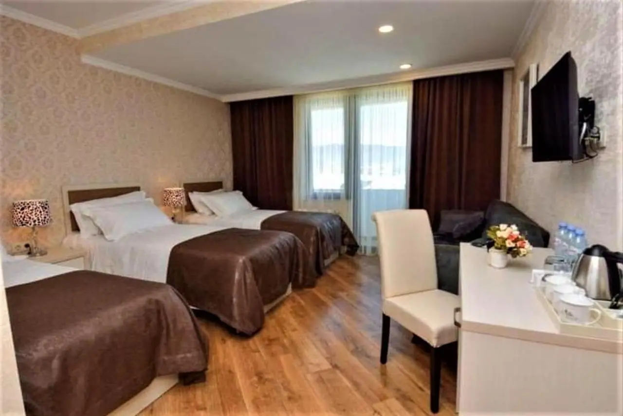 Hotel King David Bakuriani Mountain View
