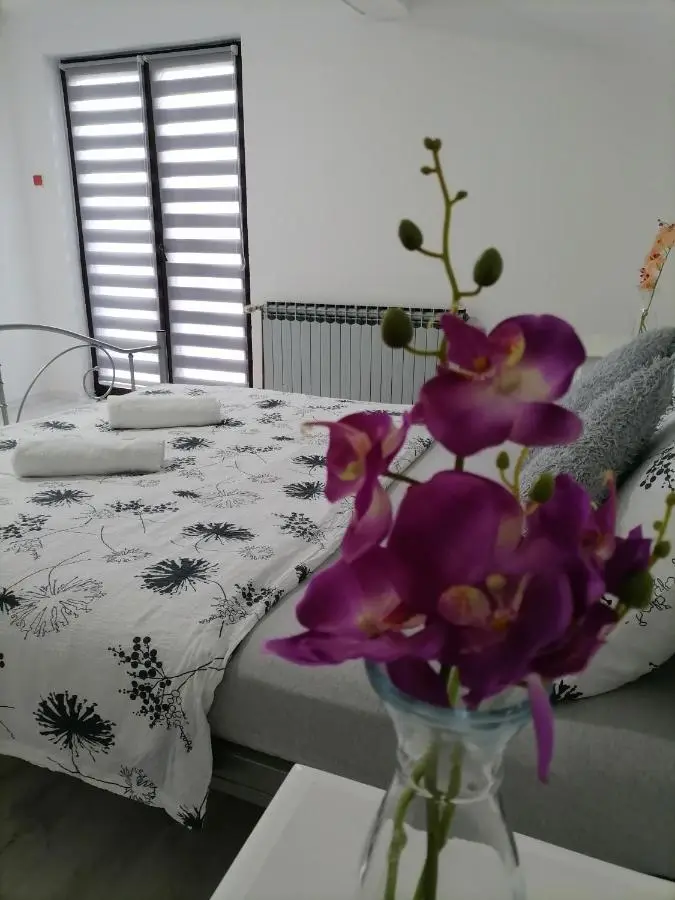 Apartman Slap