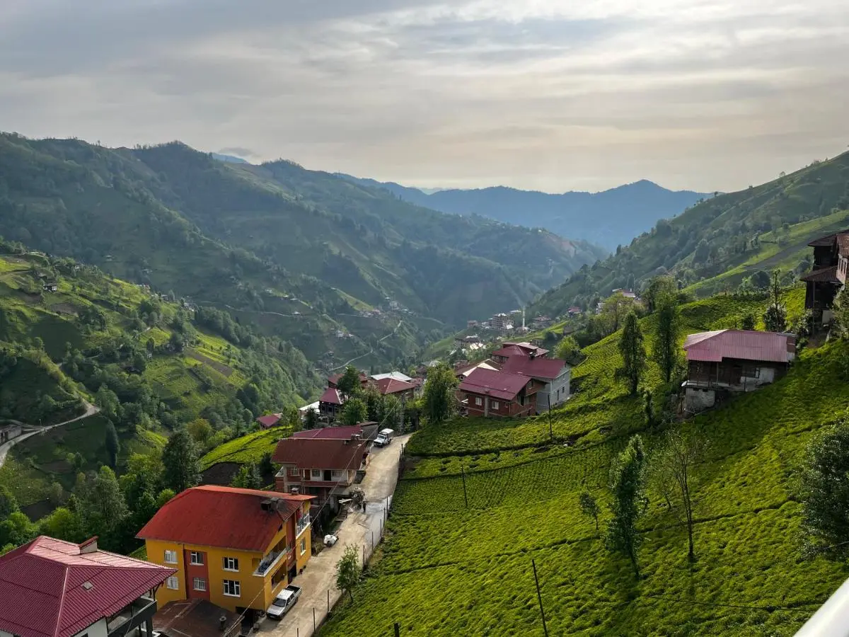 Gunguli Pansiyon
