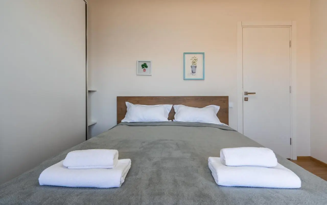 2-room Apartment NFT Vista Gudauri 17- Near Ski Lift