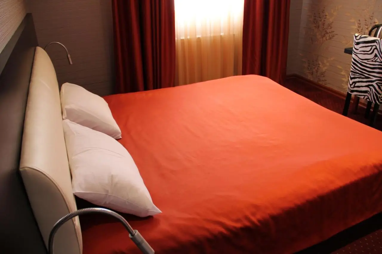 Hotel Villa Palace