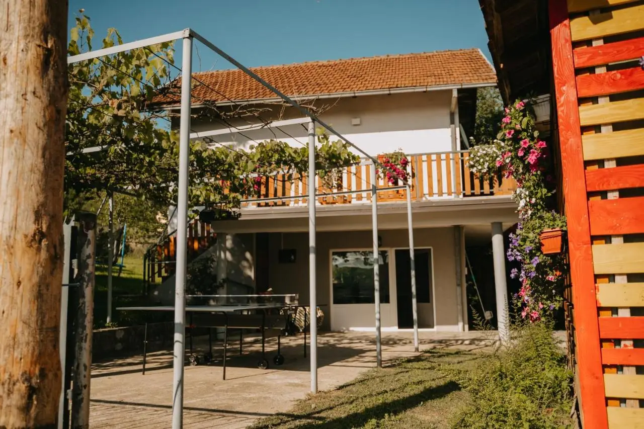 Vidovo Domacinstvo