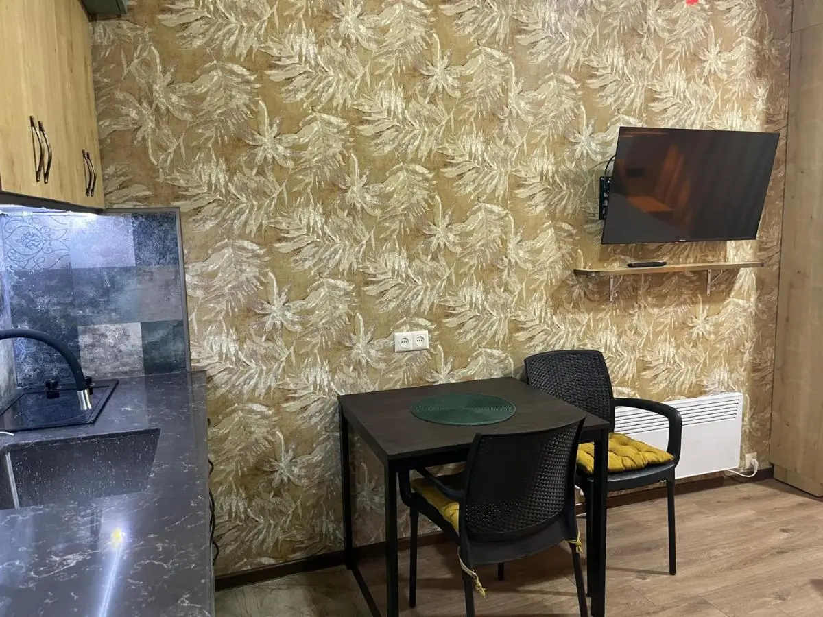 Studio apartment in Bakuriani