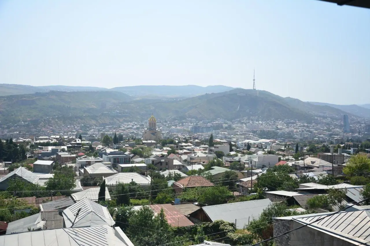Tbilisi Panoramic Apartament
