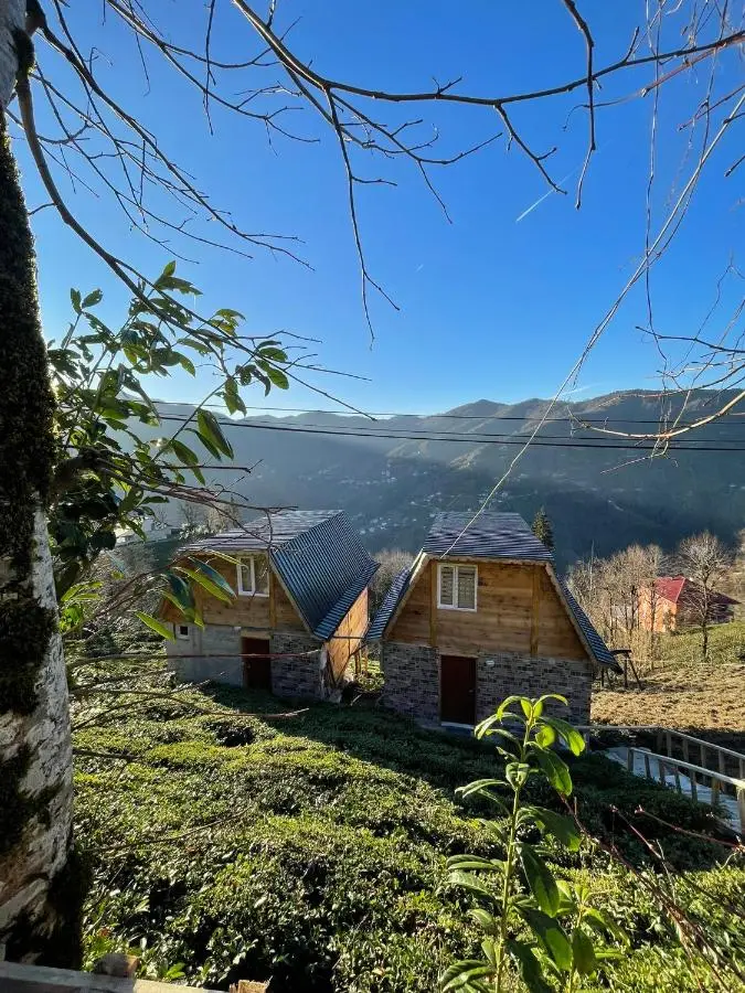 Nozona Villa-Dağ Evleri