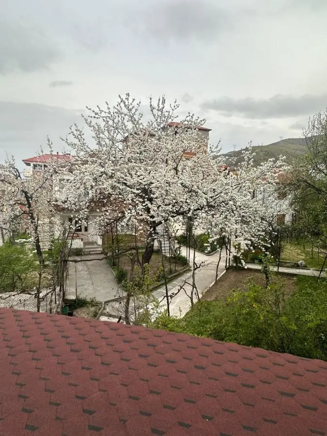 Hotel Yjet