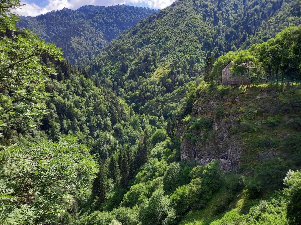 Hotel Villa Borjomi