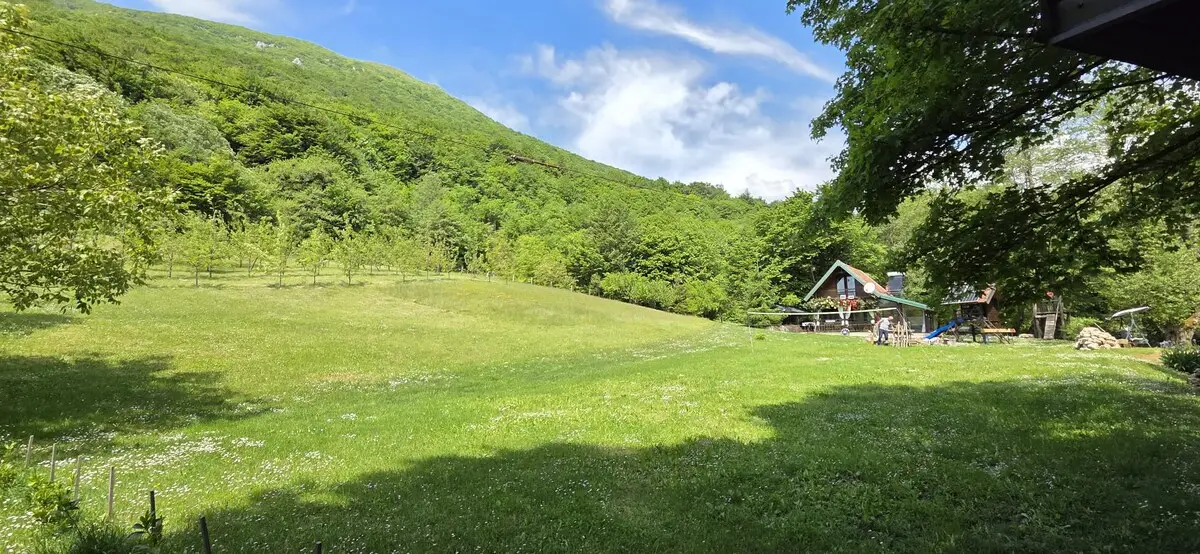 Nina's Cabin