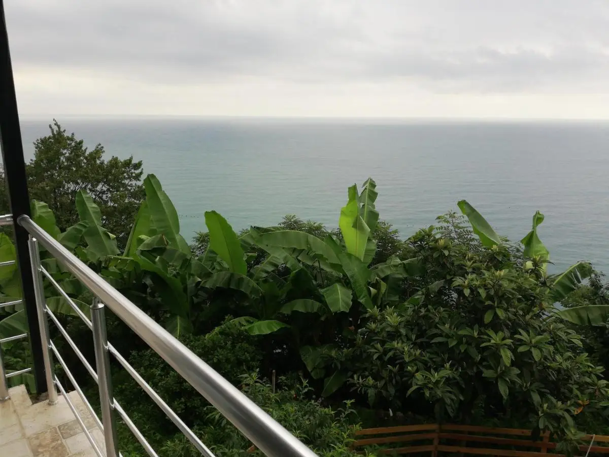 Albatross Kvariati Guest House