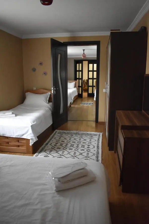 Mtskheta Apartment 158