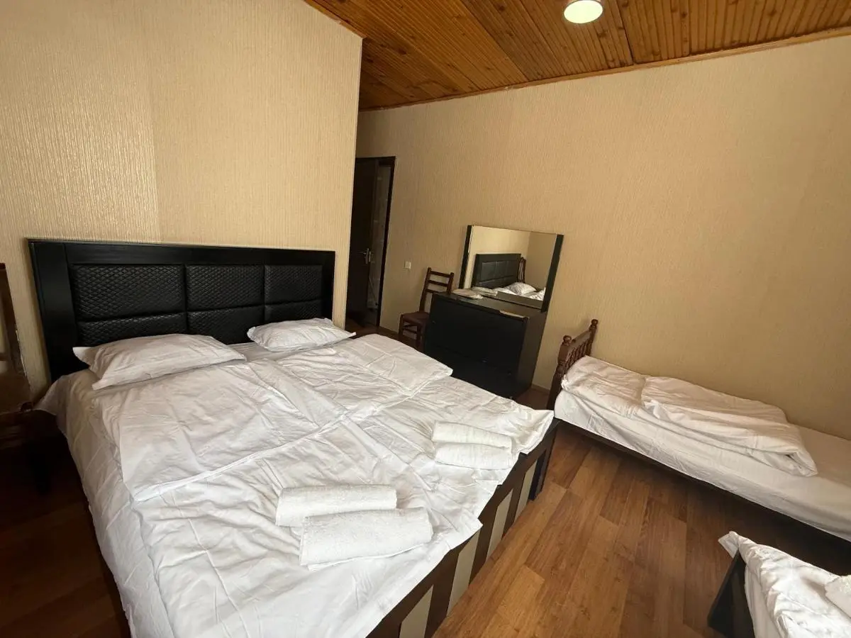 Home in Bakurianii