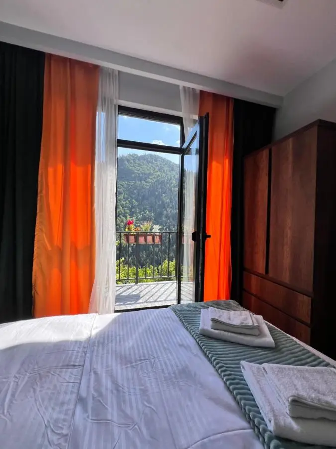 Hillstory Borjomi tba