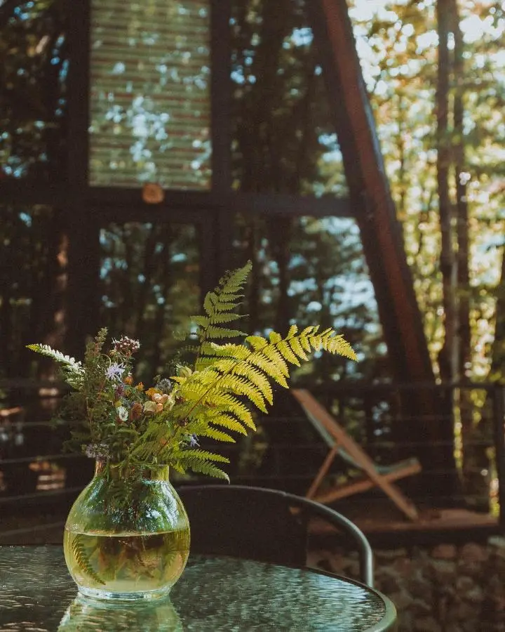 Eco Village In The Forest