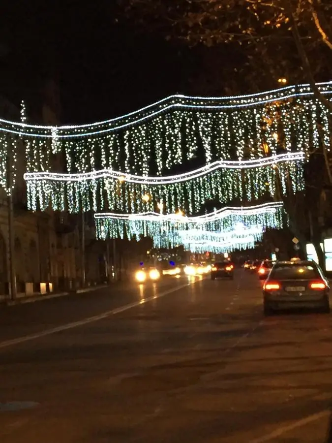 Maia's Apartment on Rustaveli