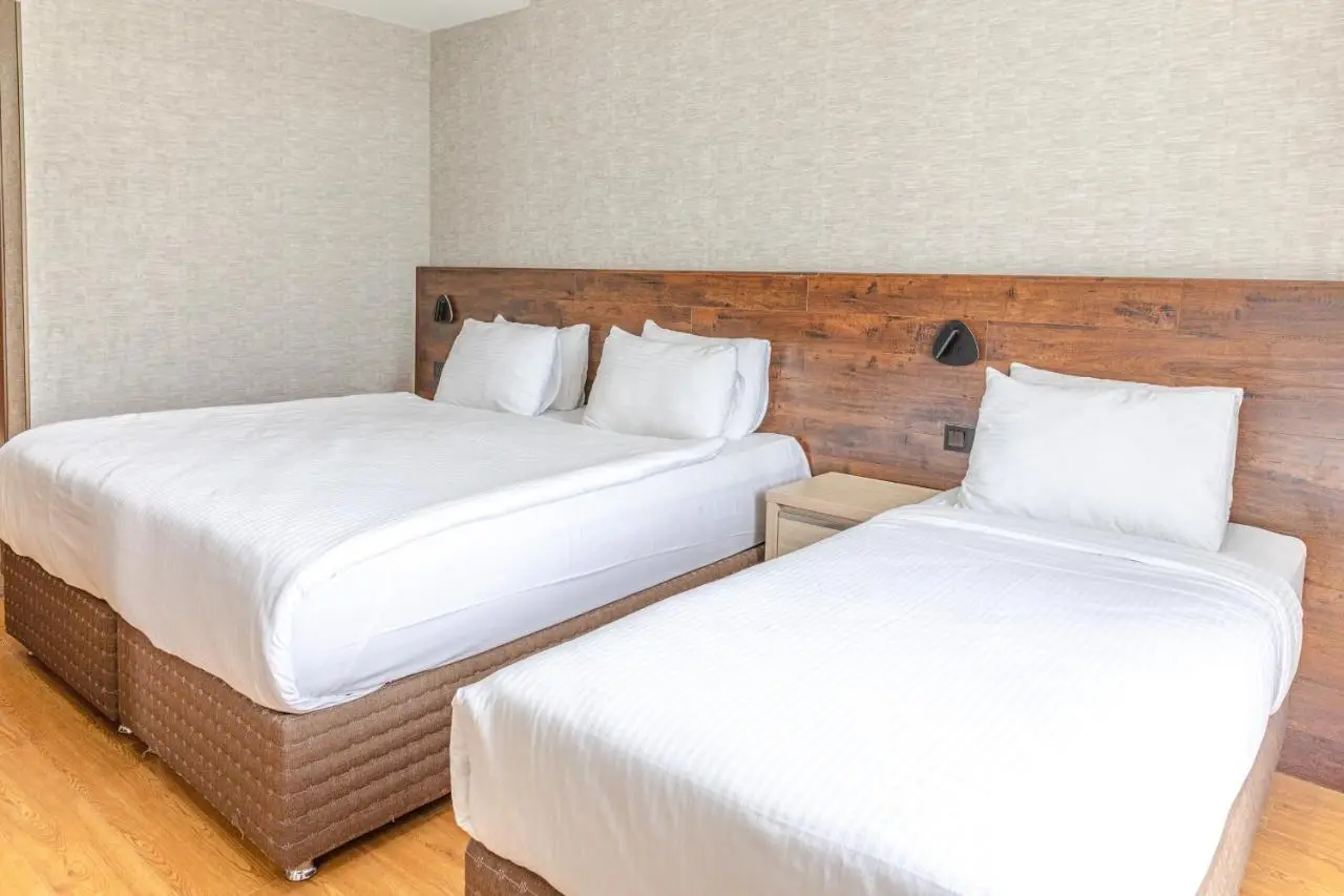 Hotel 25 Bakuriani