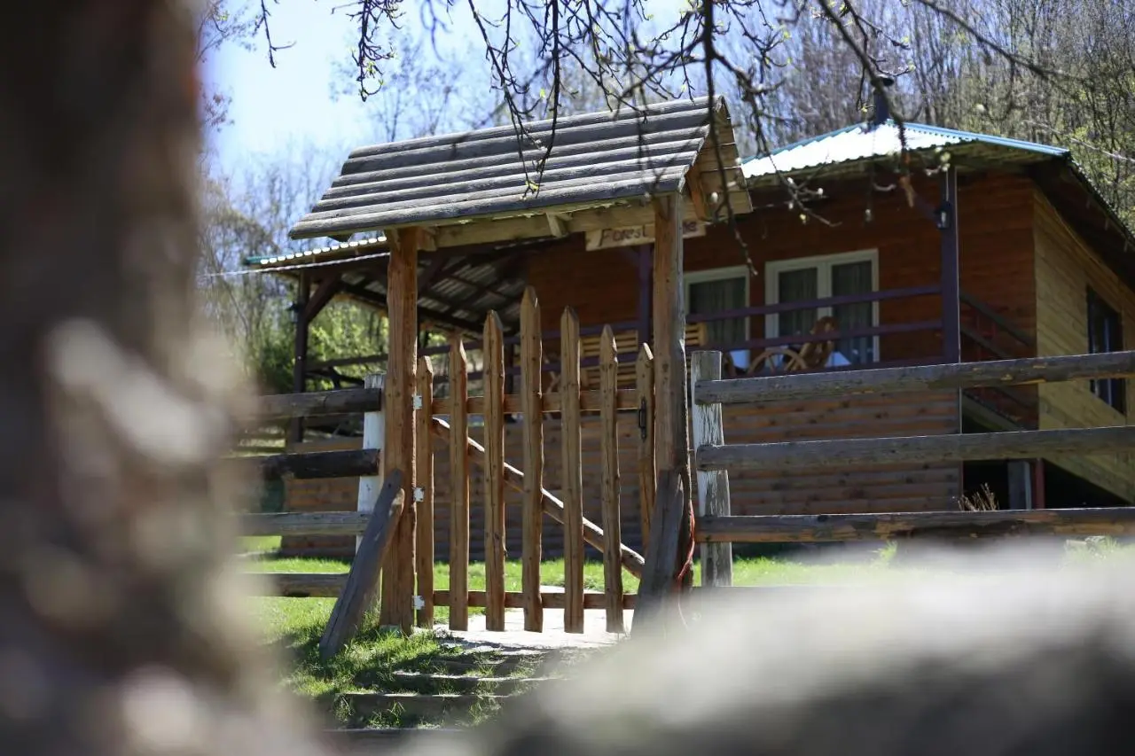 Forest Lodge on the Pyramid