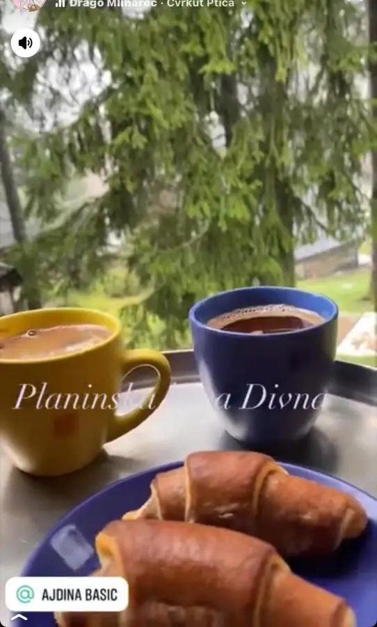 Planinska kuća Divna