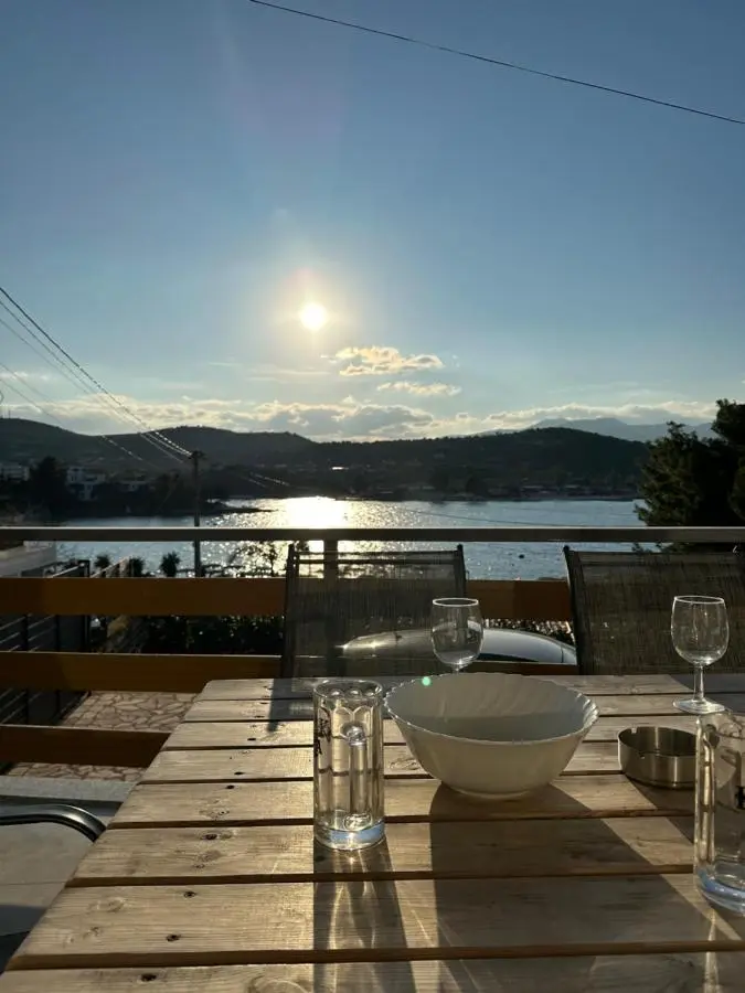 Ion Sea View