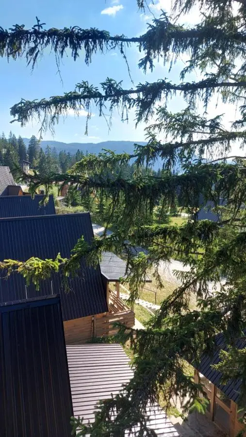 Apartment XYZ Vlašić