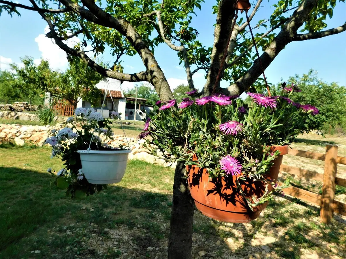 Crystal apts.  near Kravica waterfalls II
