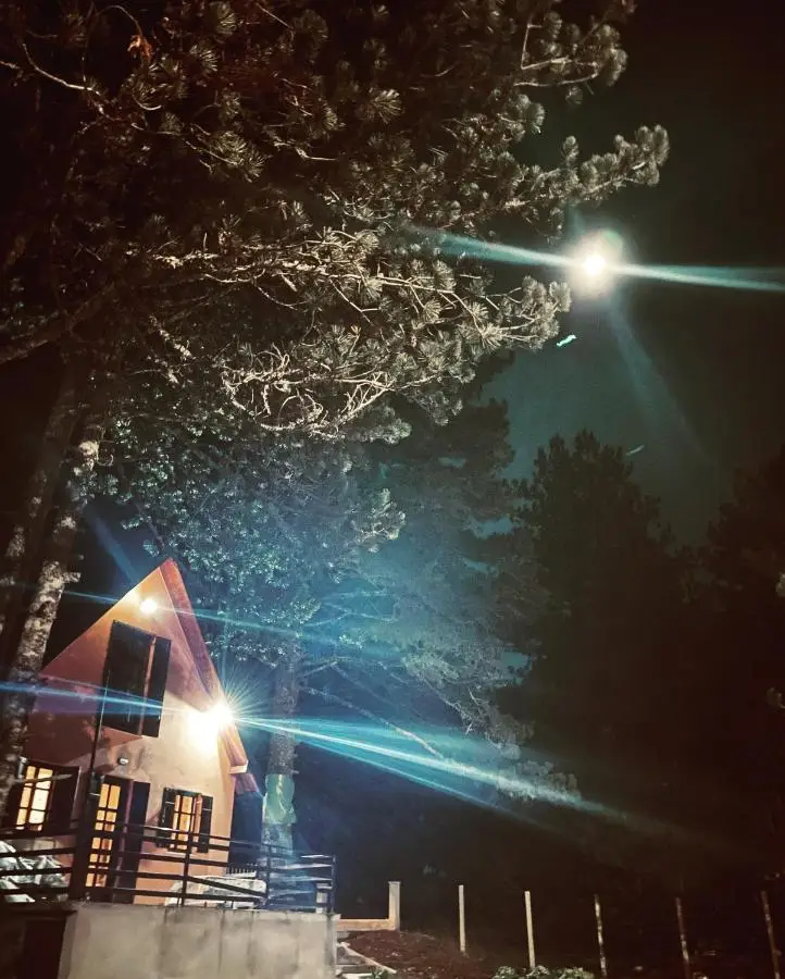 Moonica Rujiste