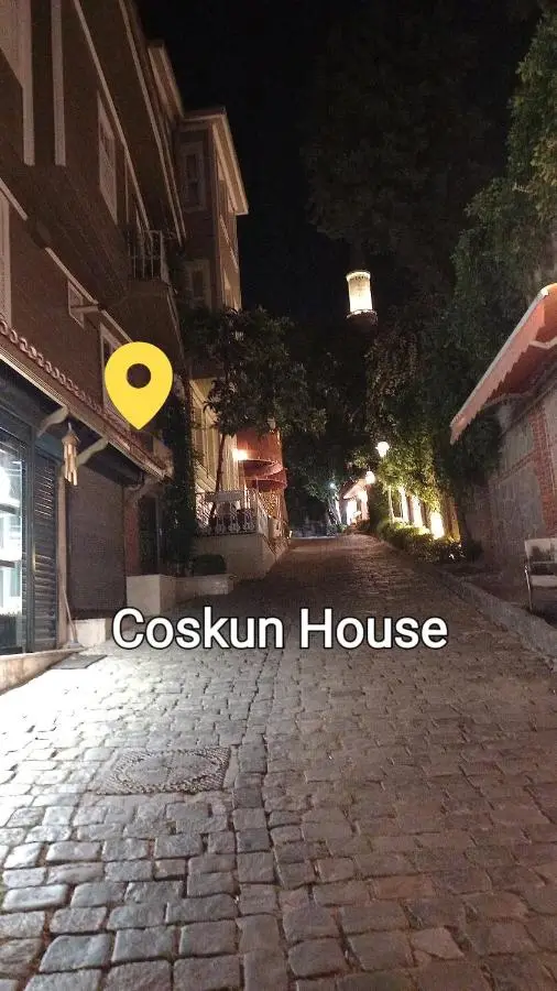 Coskun House