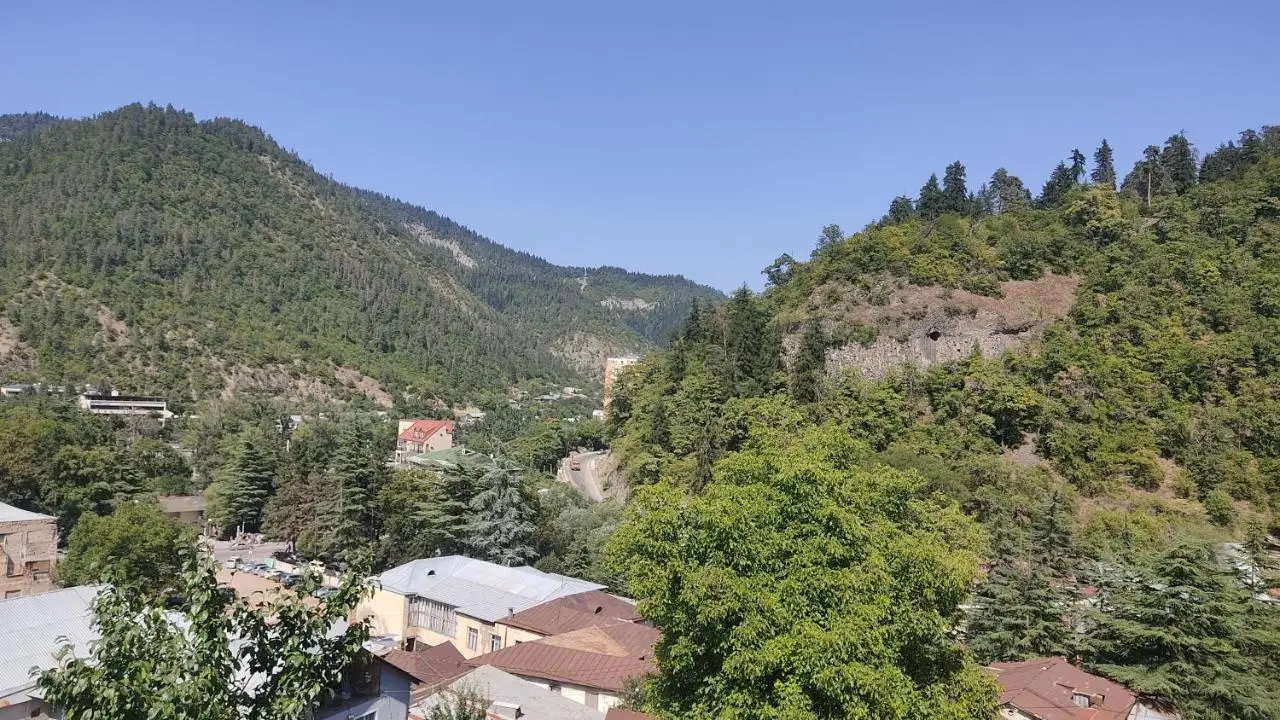 Borjomi Nest 1