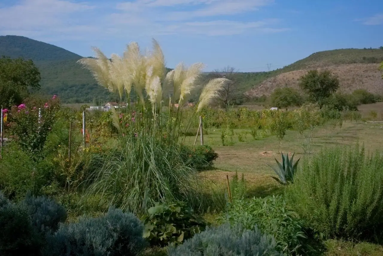 OZ - Obecana Zemlja Permaculture Homestead