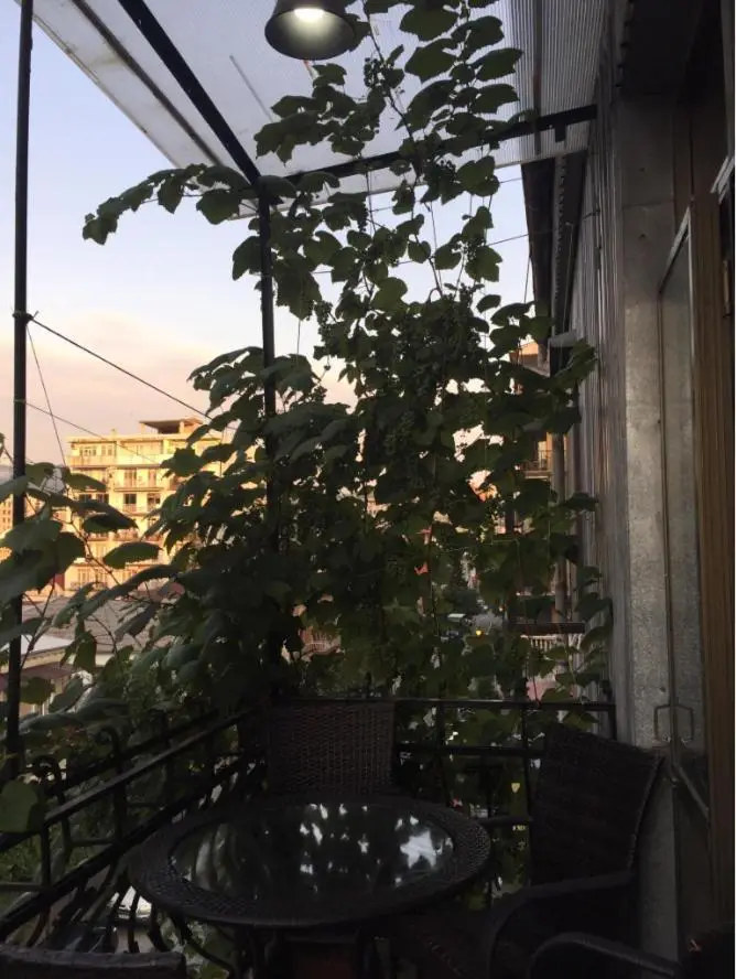 Sheraton apartment