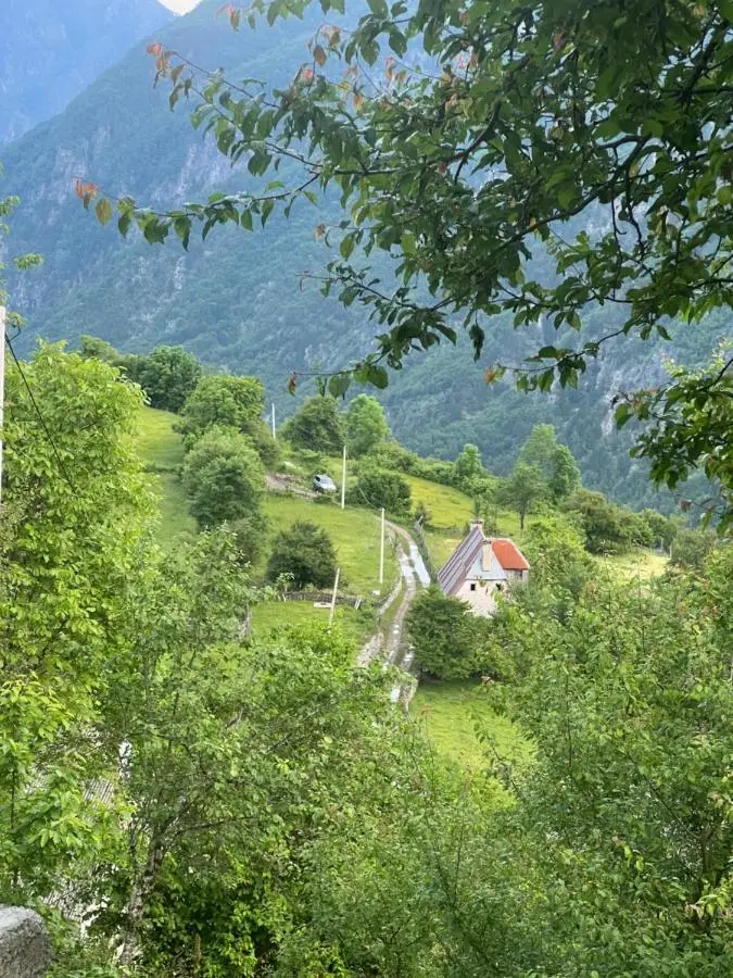 Guest House Gjelaj