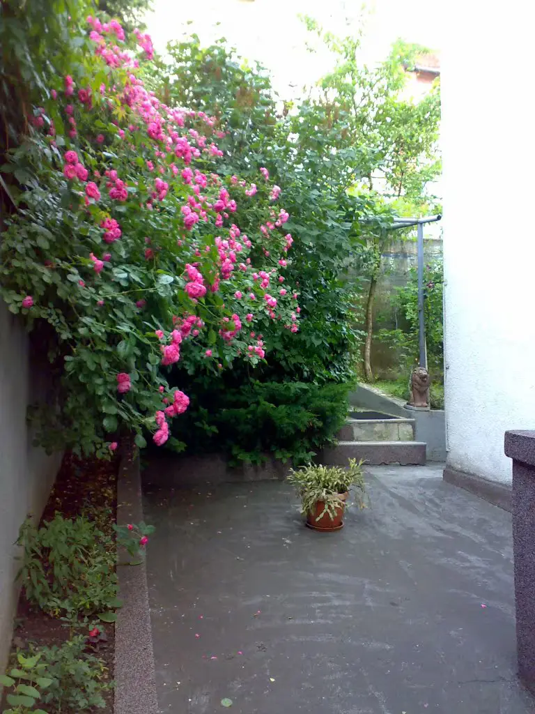 Near downtown but in a quiet area