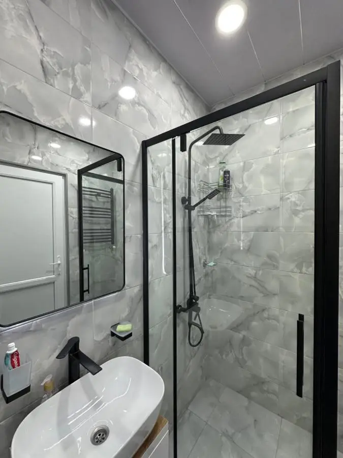 Modern apartment in Borjomi