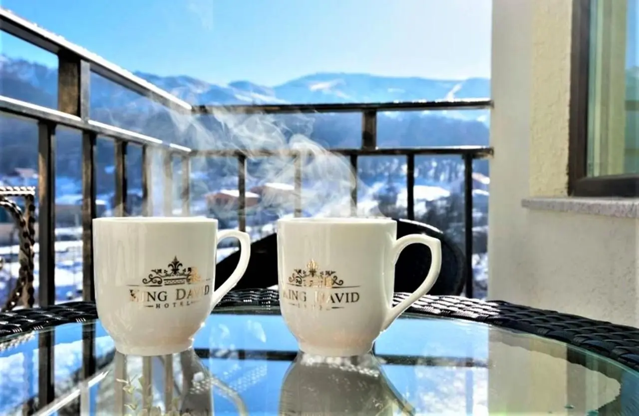 Hotel King David Bakuriani Mountain View
