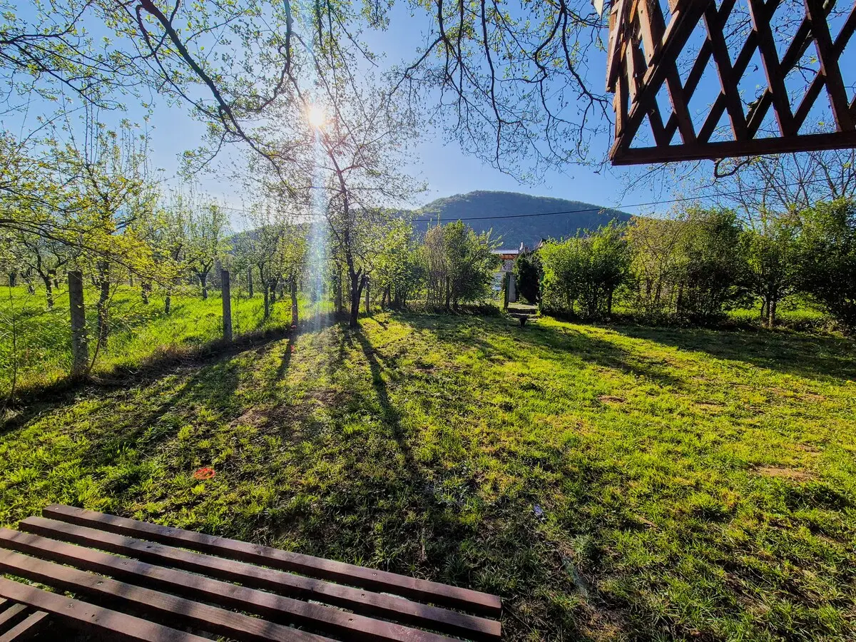 Villa Zara – Heart of Nature