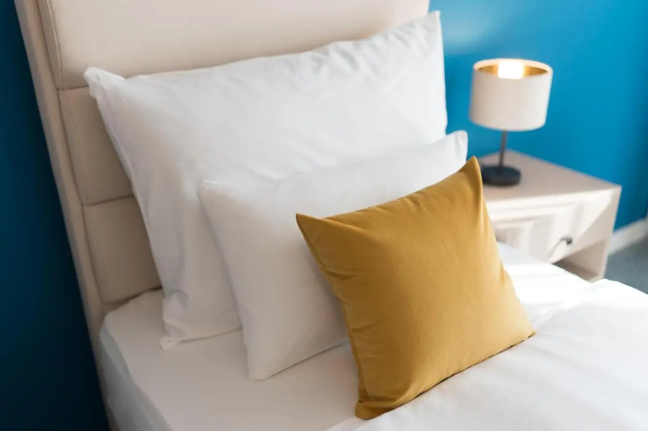 Hotel Spa Olive