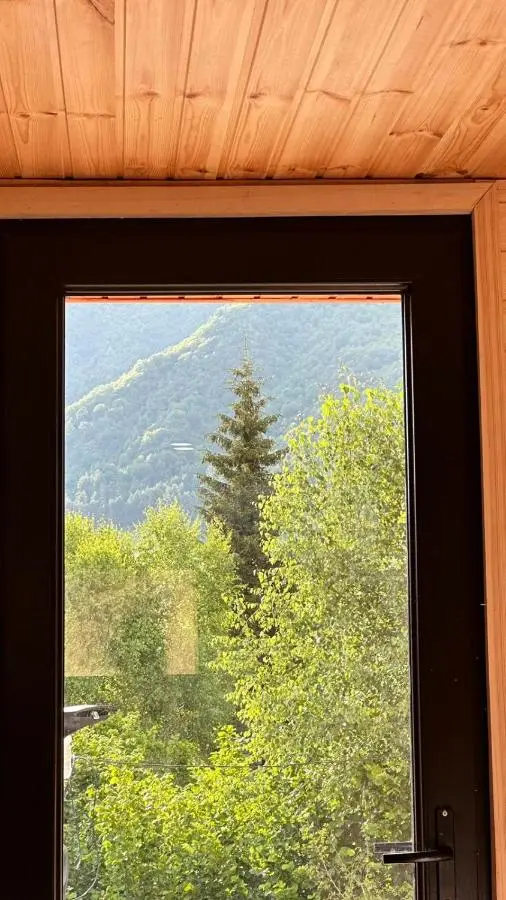 Villa Wood in Mestia N 2