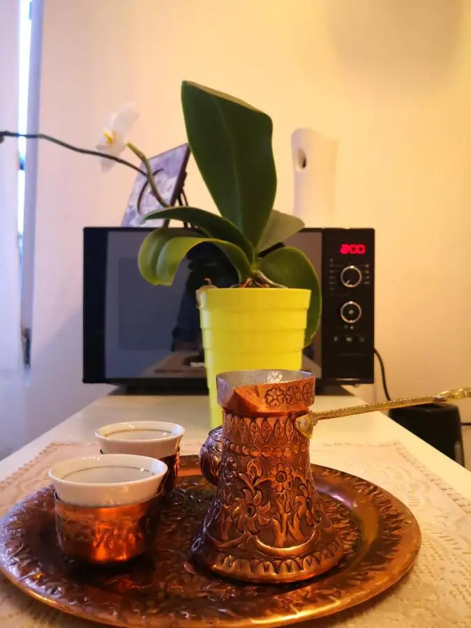 Apartment Bistrik 1