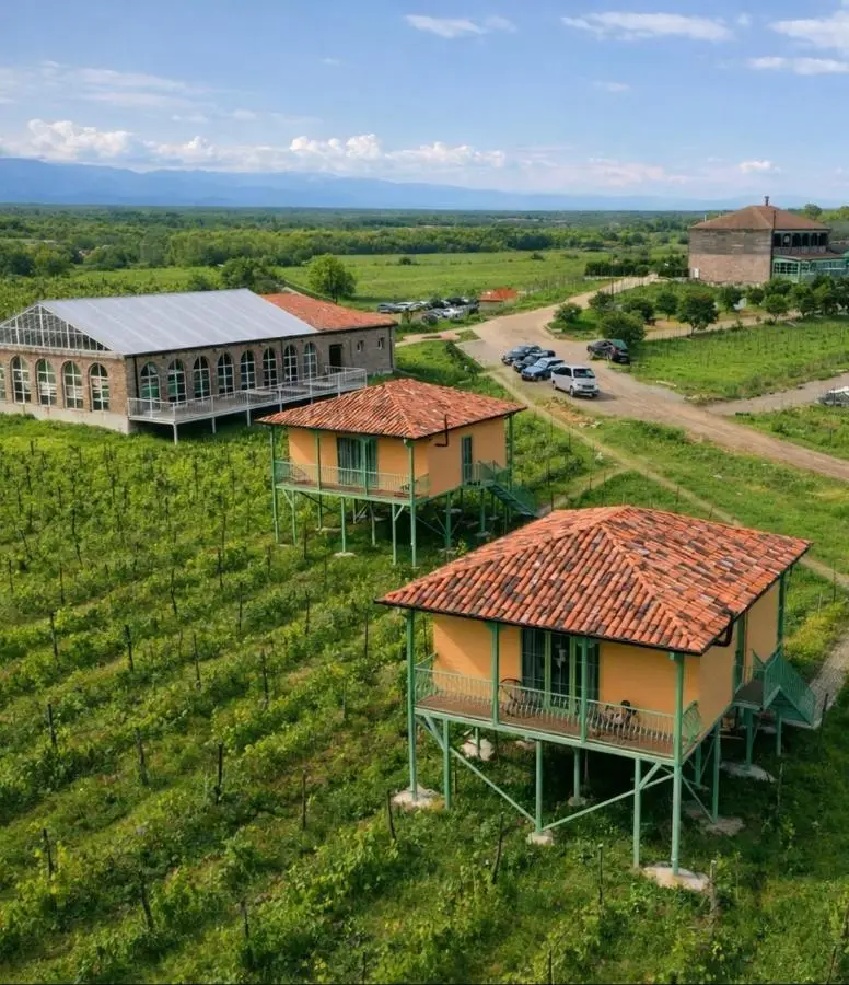 Chateau Vartsikhe
