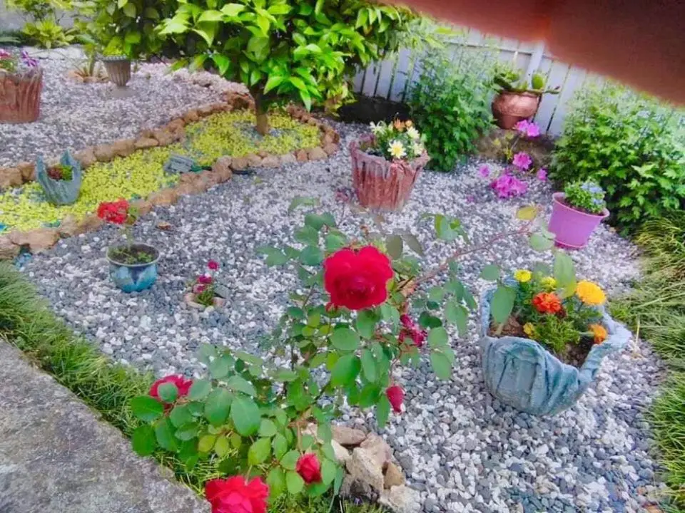 Sisi Guest House