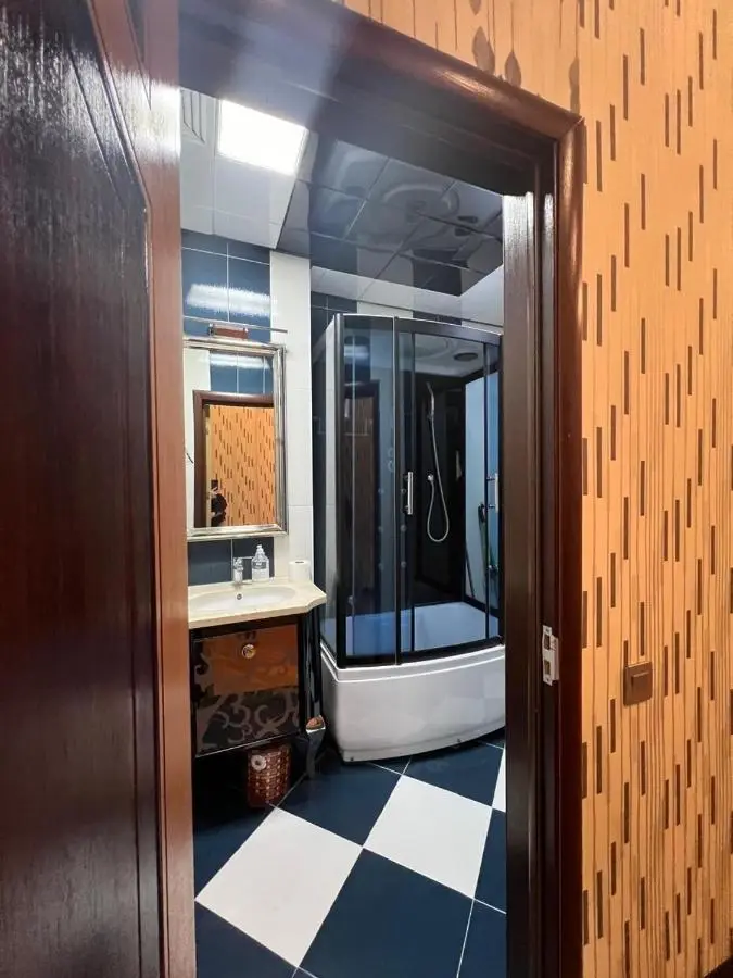 Deluxe apartment in Baku