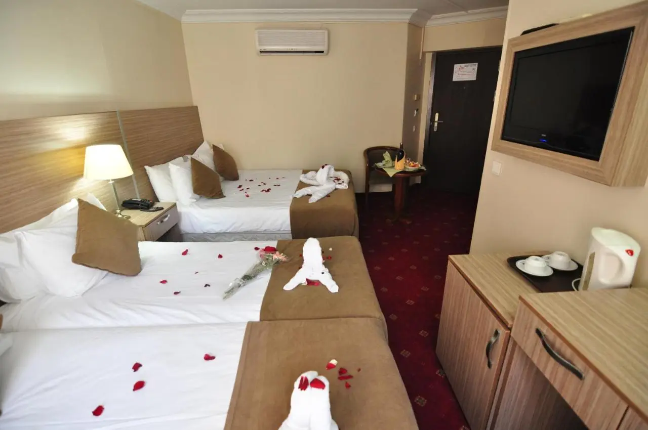 Hotel Buyuk Sahinler
