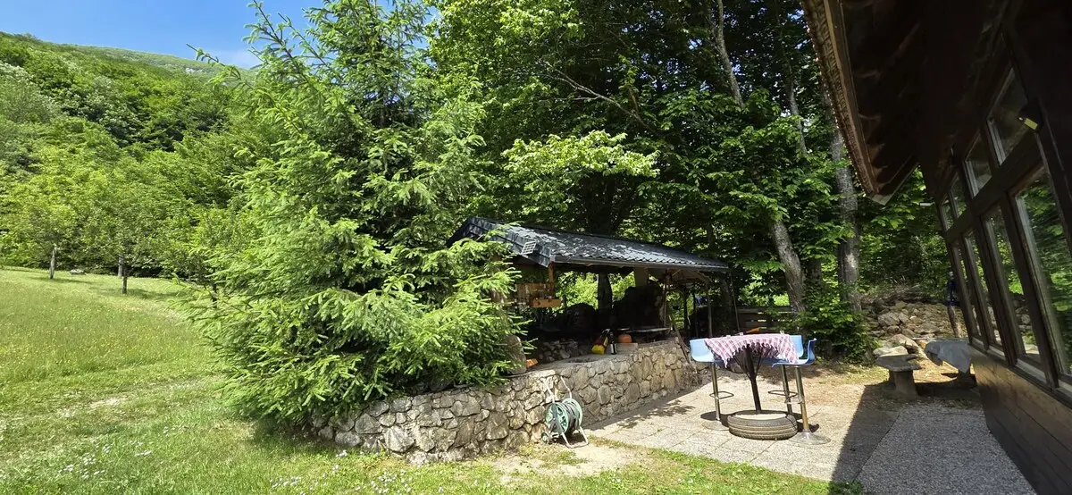 Nina's Cabin